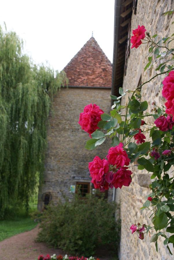 Bed and Breakfast Chambre D' Hotes Des Collines Amanzé Exterior foto